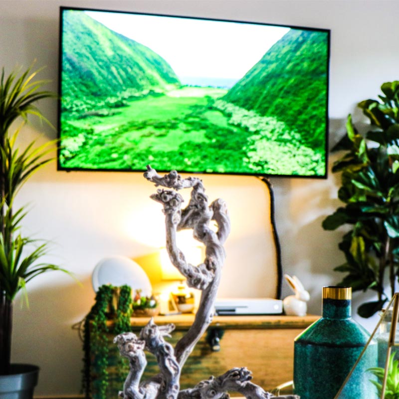 How to Hide TV Wires on Your Wall Mounted TV without Changing Wiring